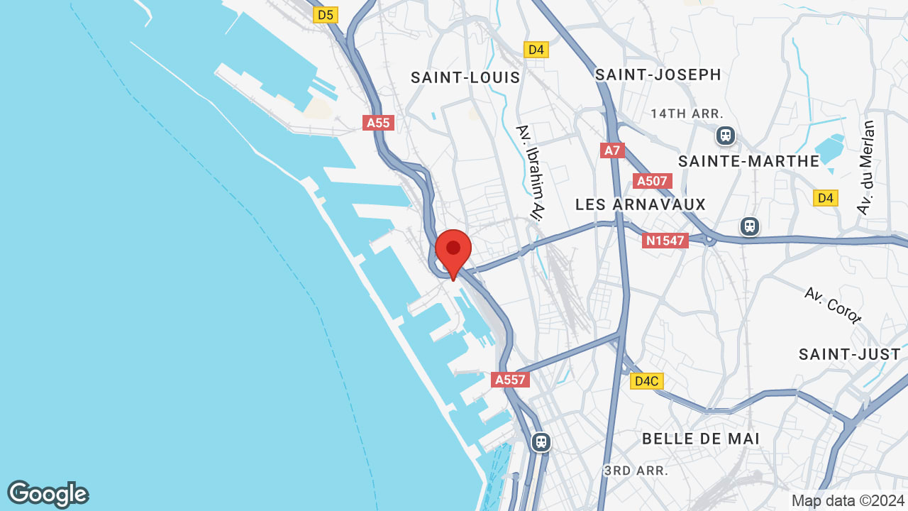 Google map