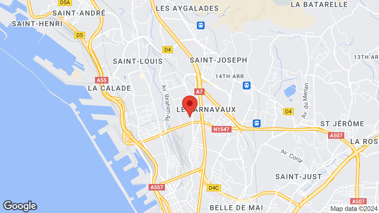Google map