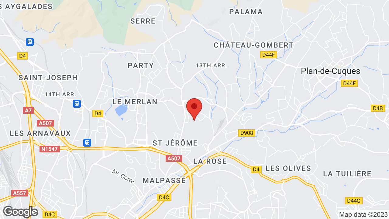 Google map