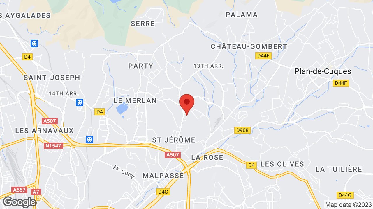 Google map