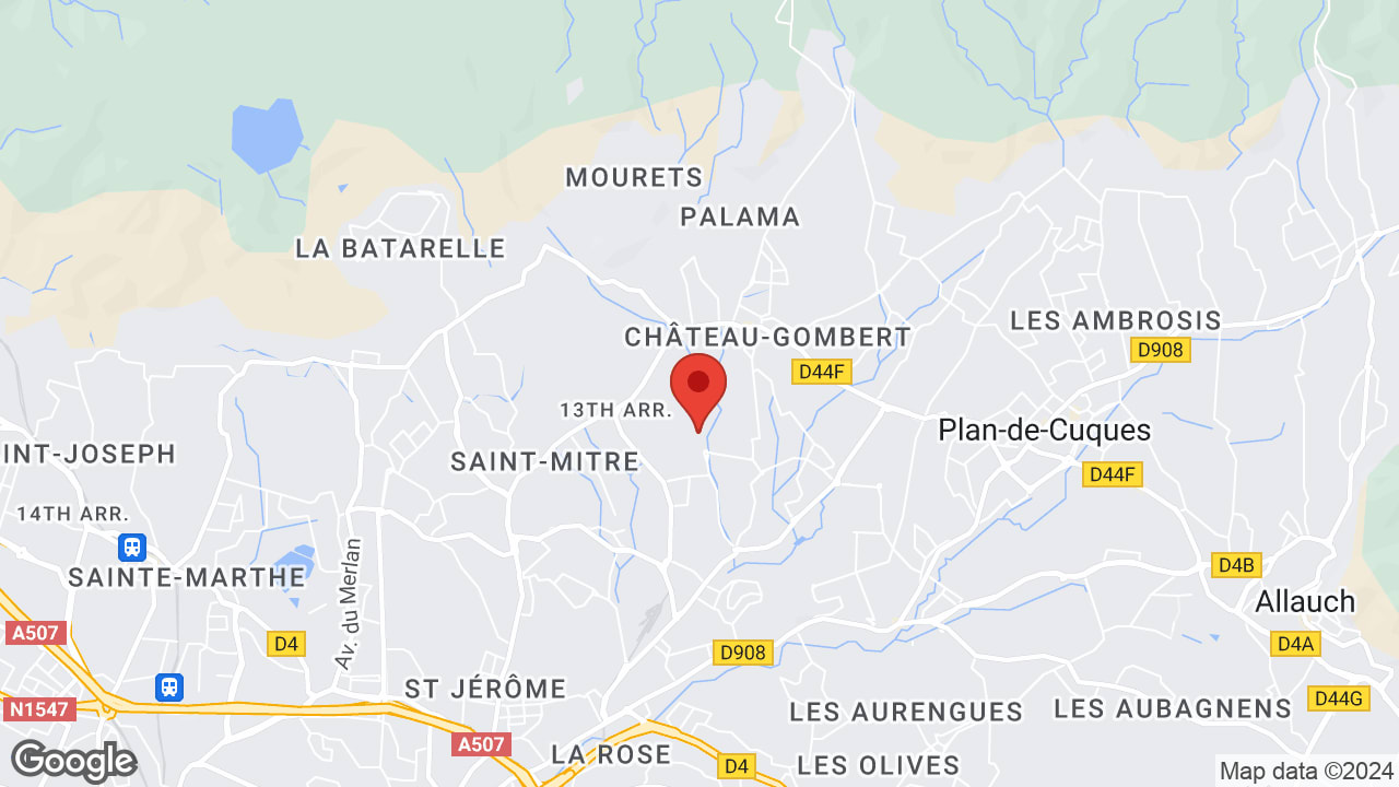 Google map