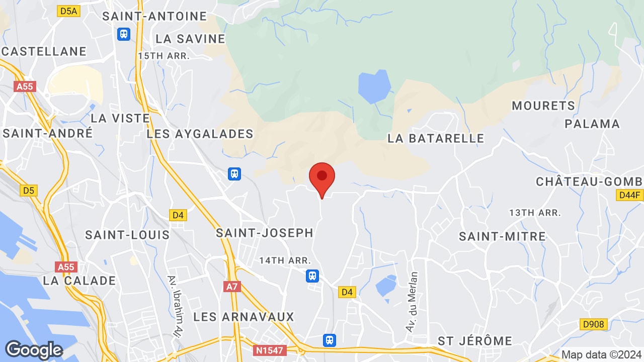 Google map