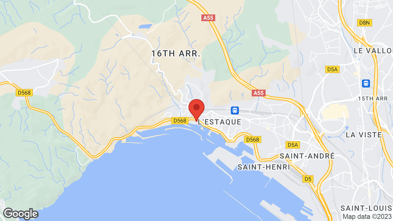 Google map