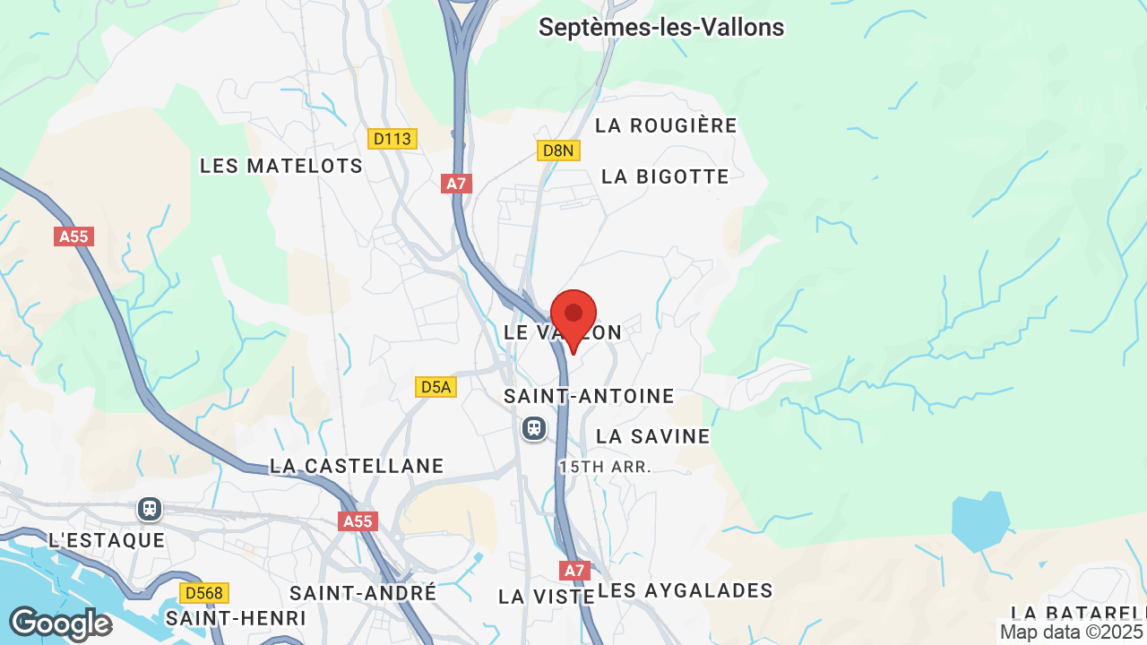 Google map