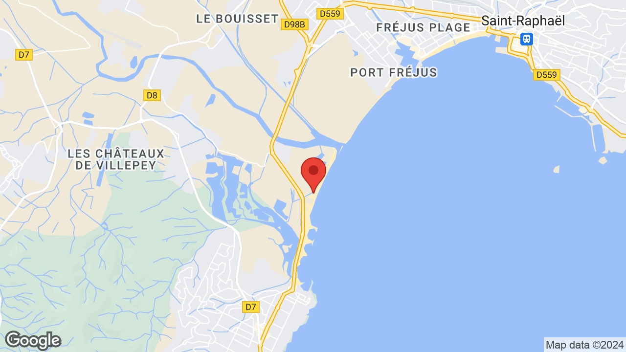 Google map