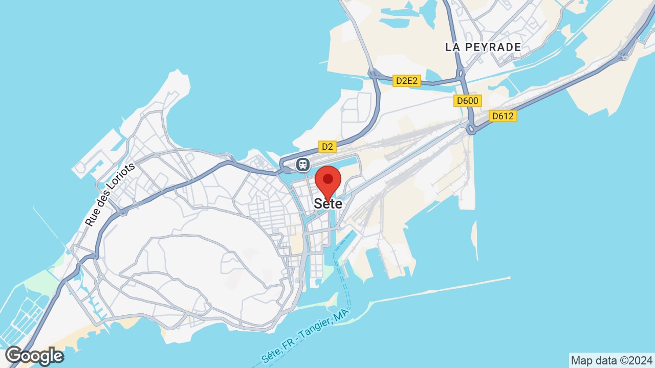 Google map