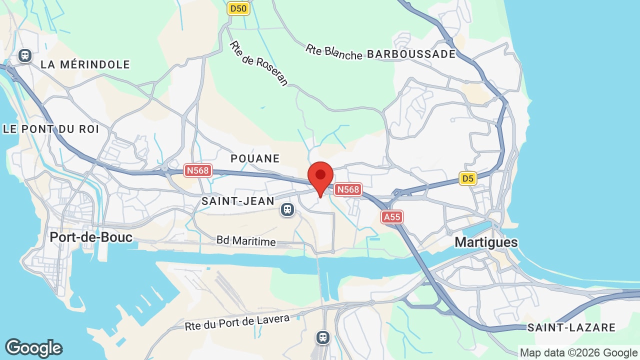 Google map