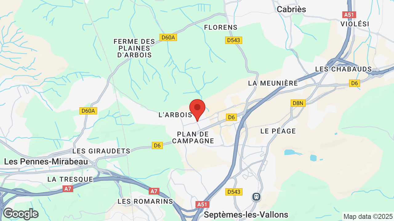 Google map