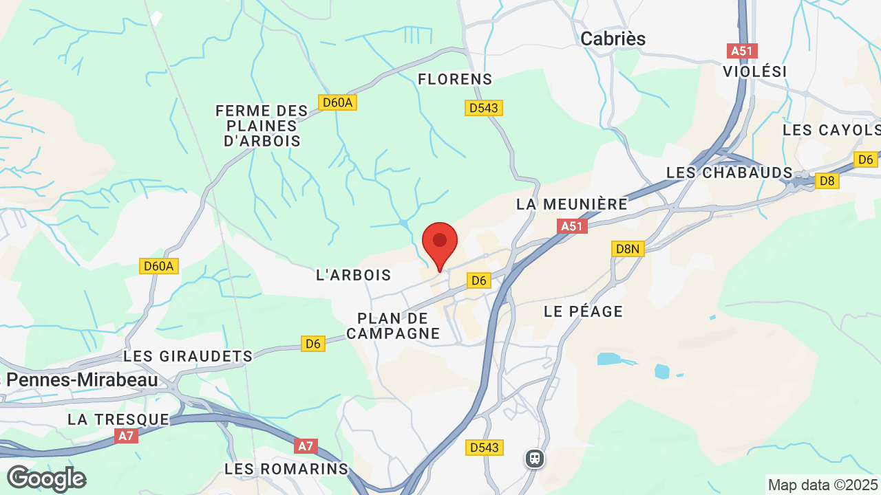 Google map