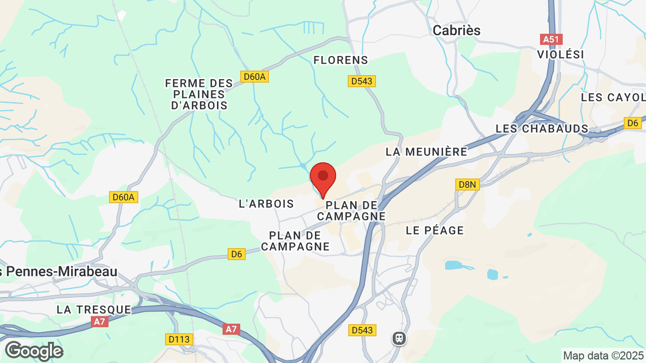 Google map