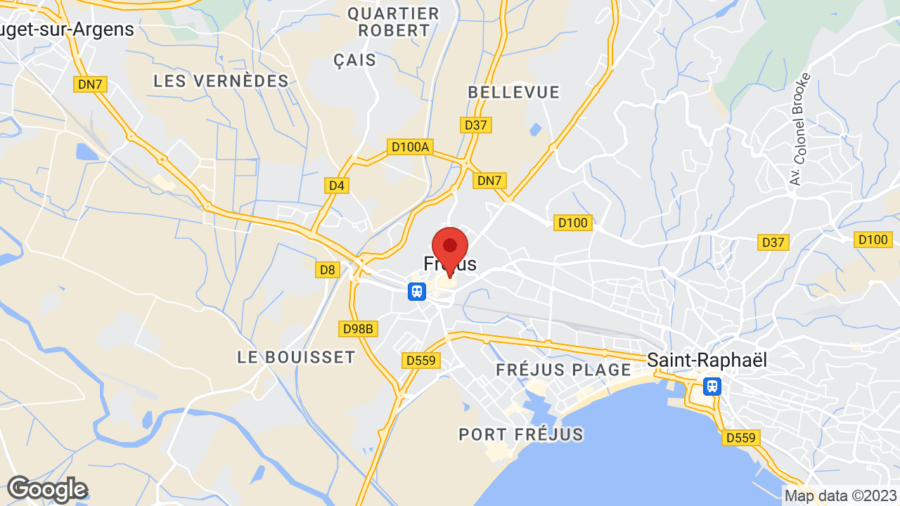 Google map