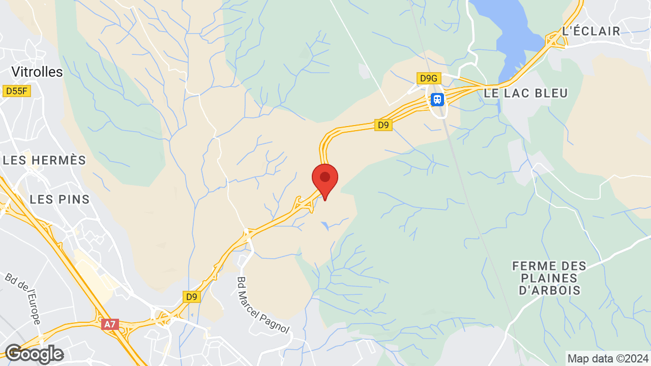 Google map
