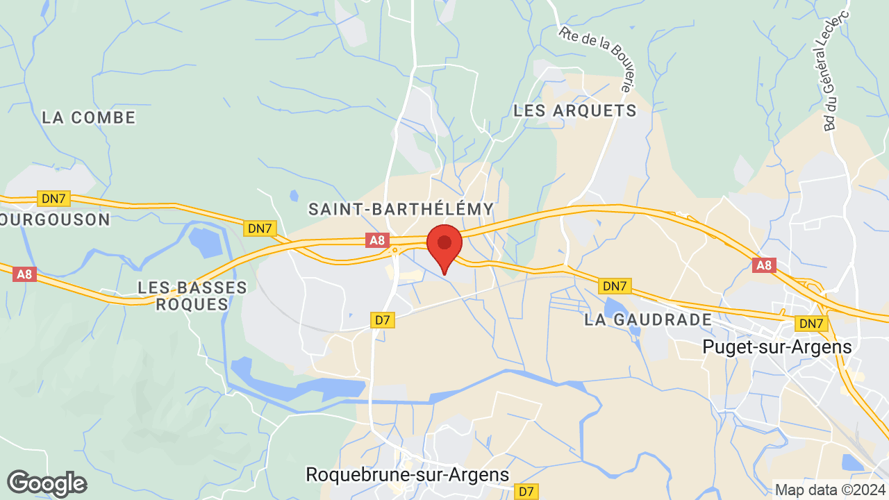 Google map