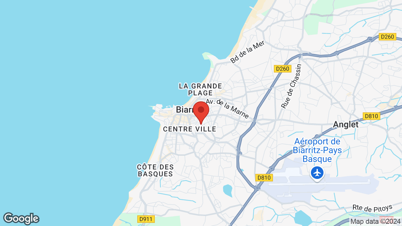 Google map