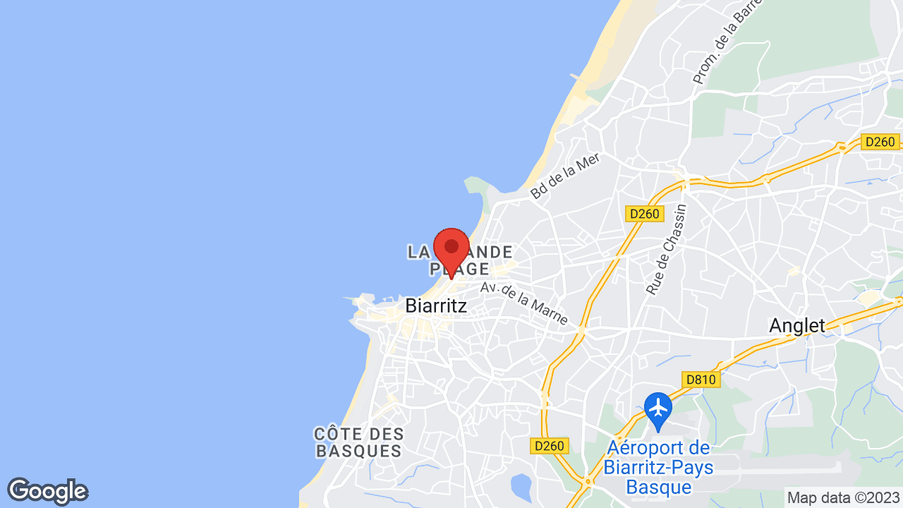 Google map