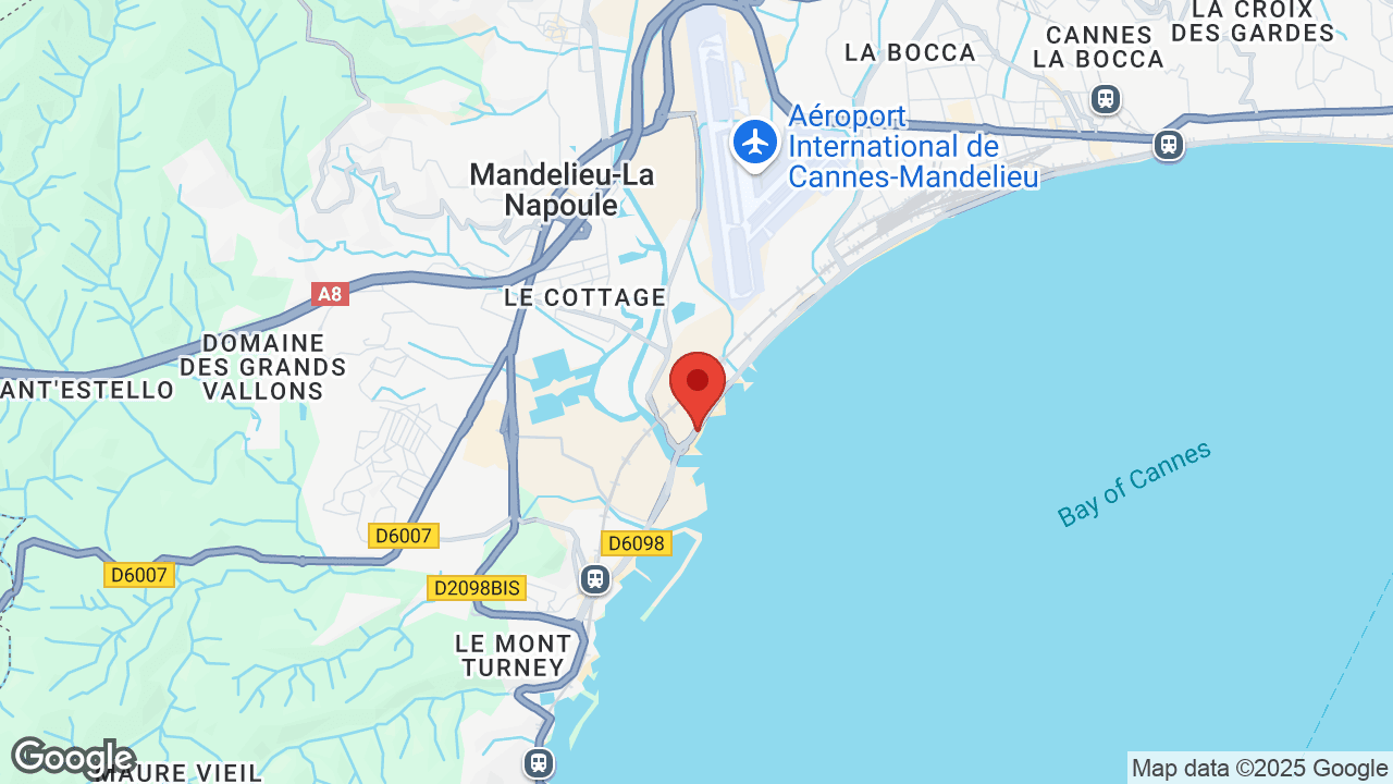 Google map