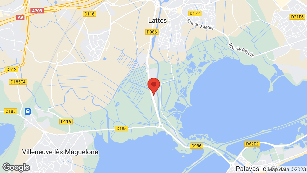 Google map