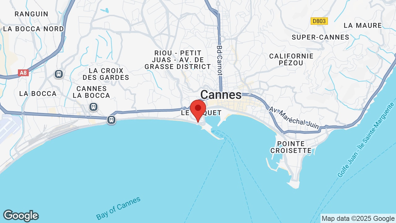 Google map
