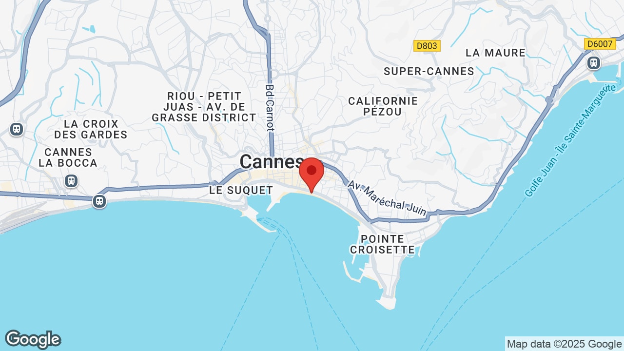 Google map