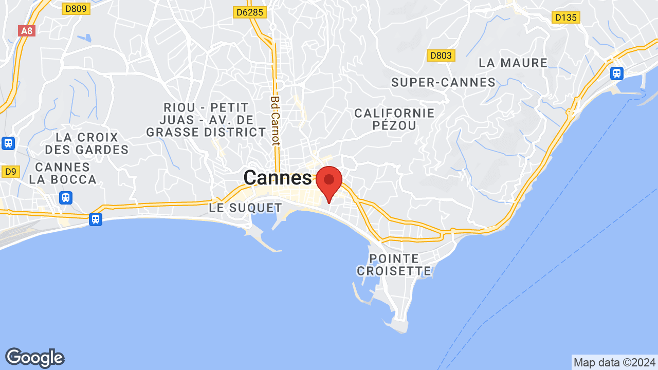 Google map