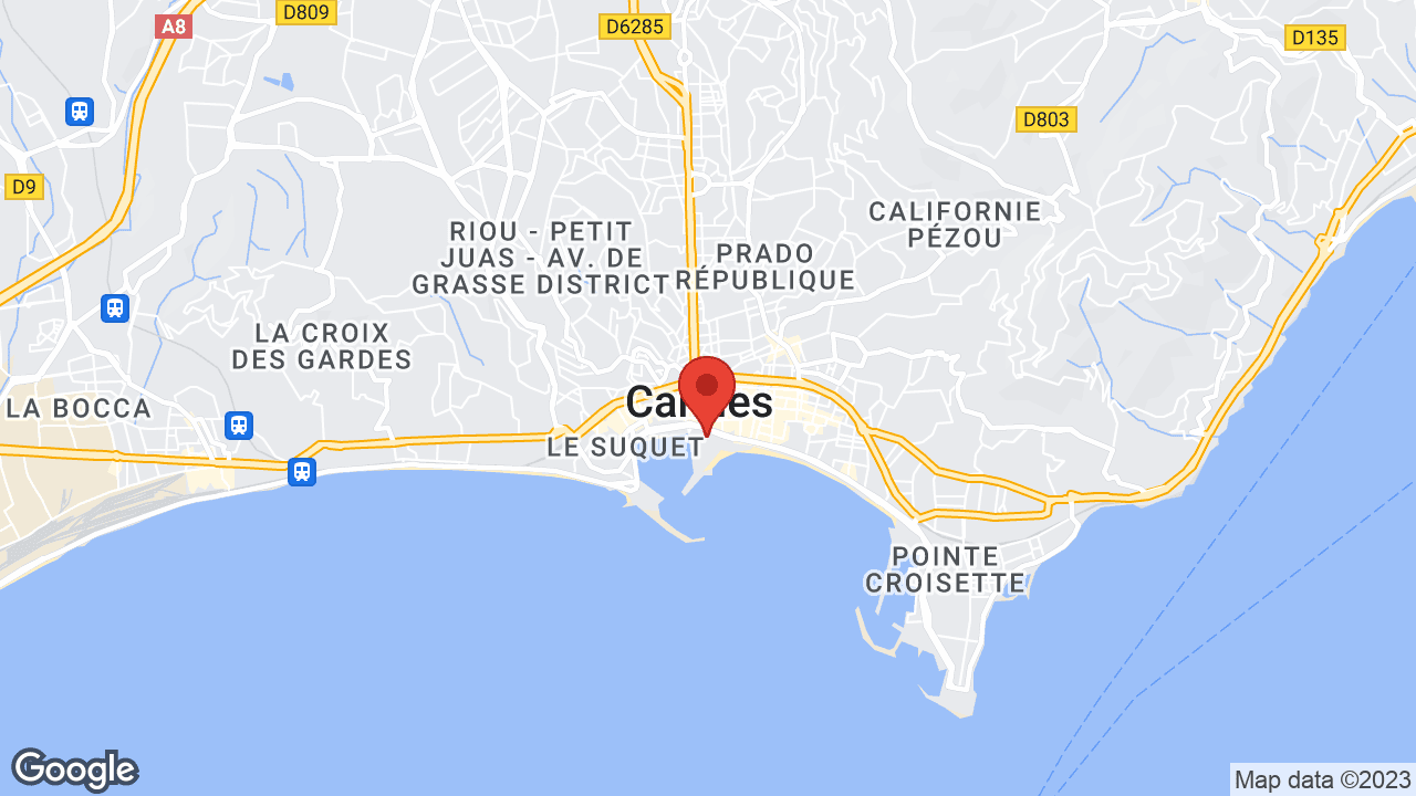 Google map