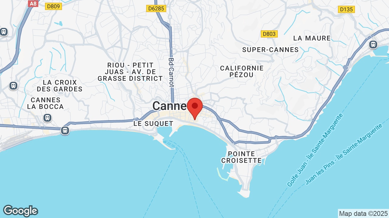 Google map