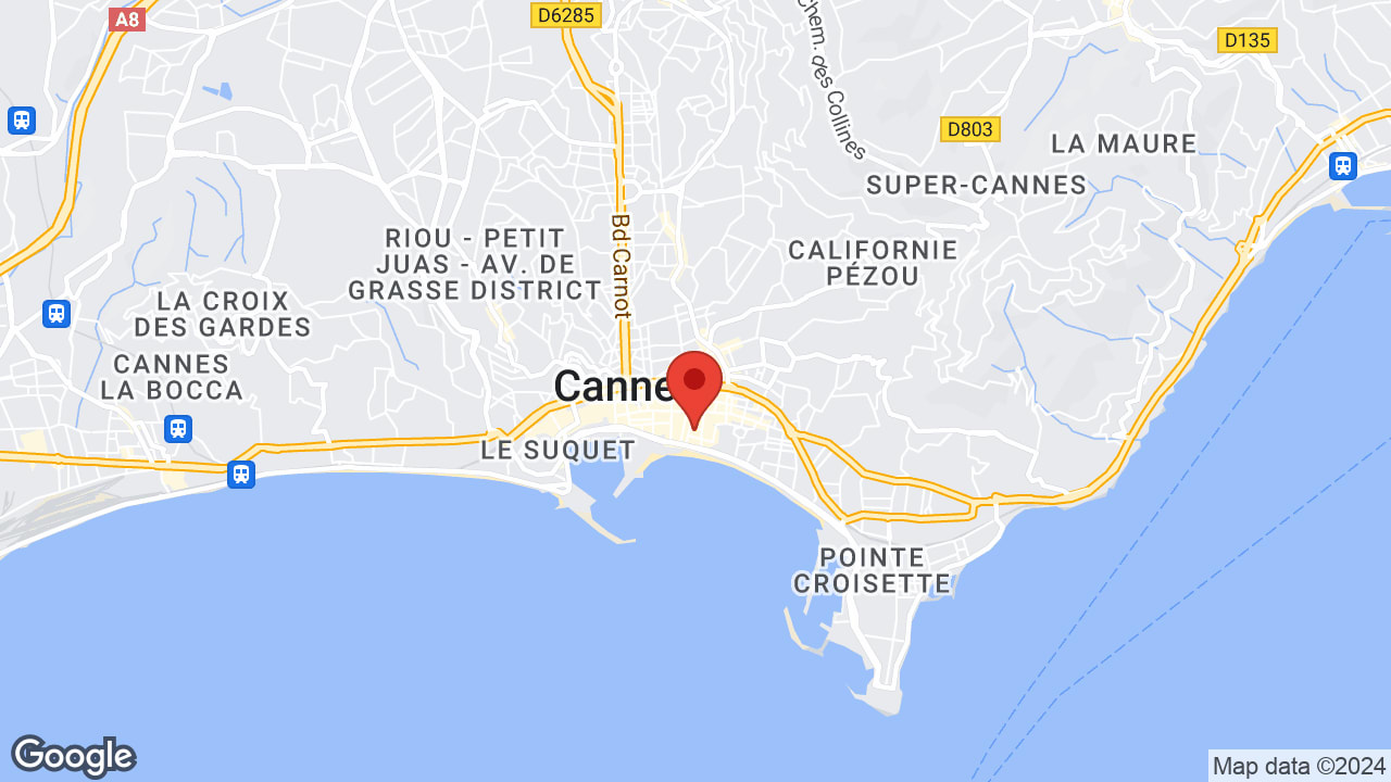 Google map