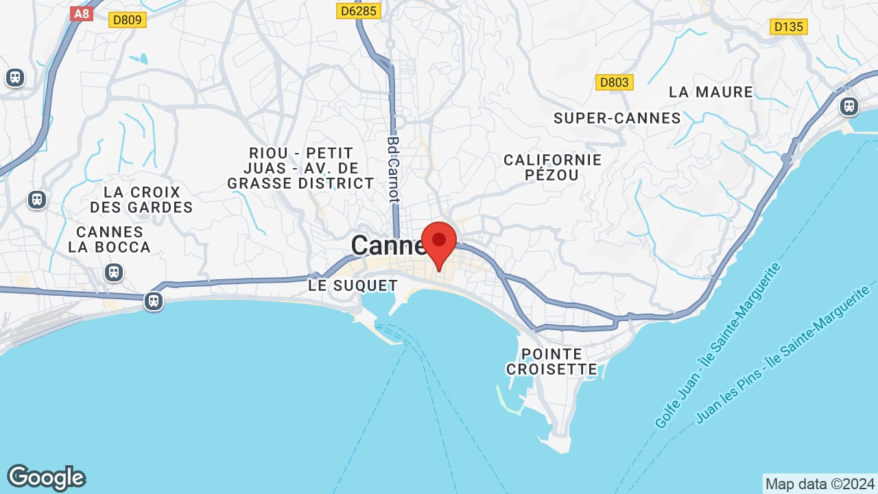 Google map