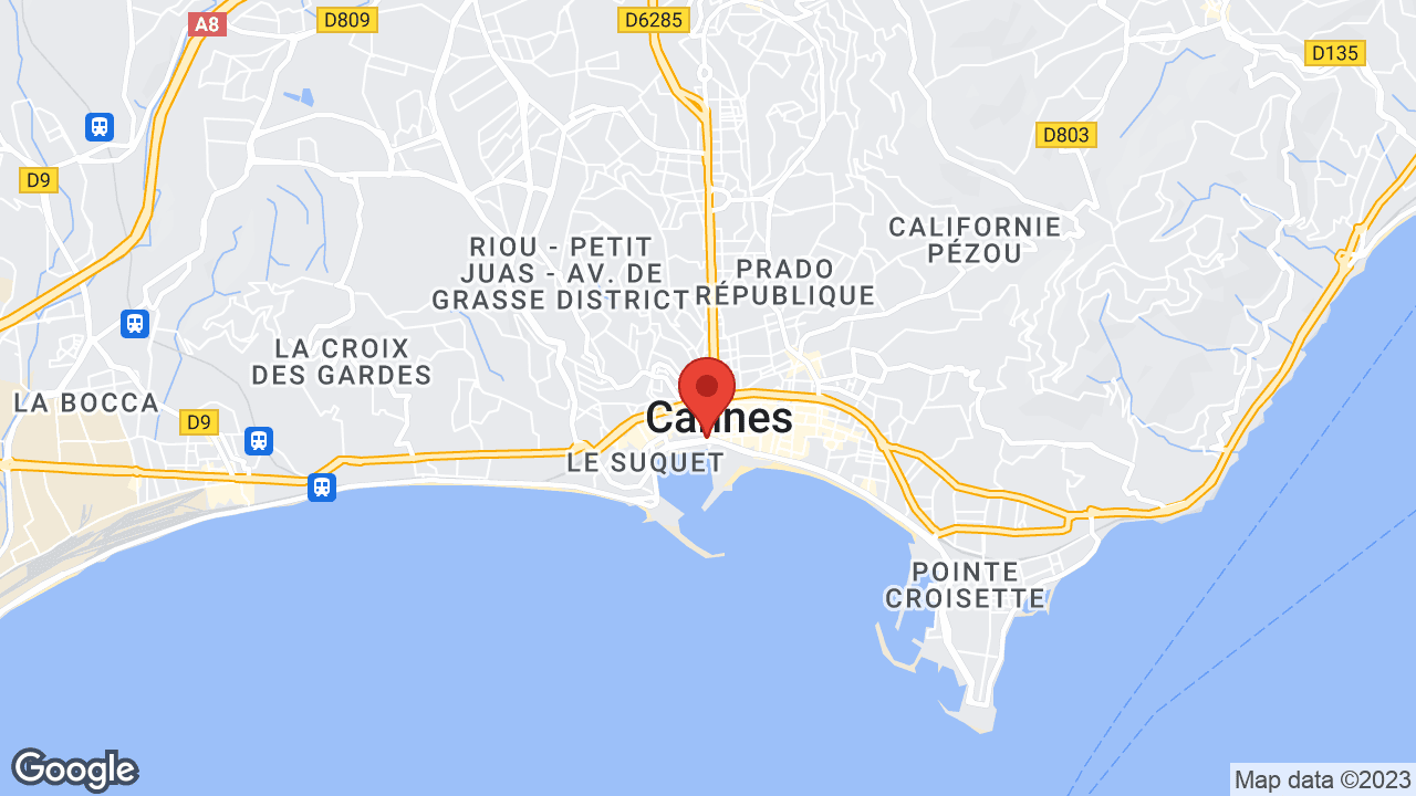 Google map