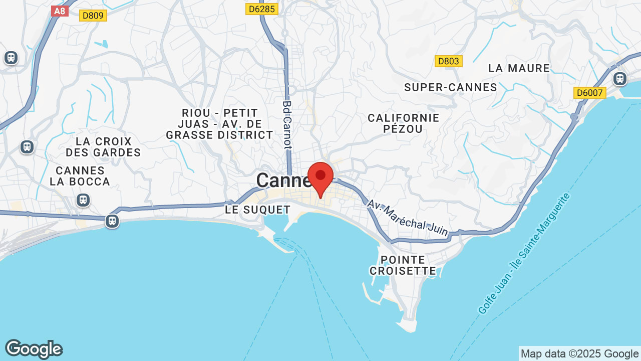 Google map