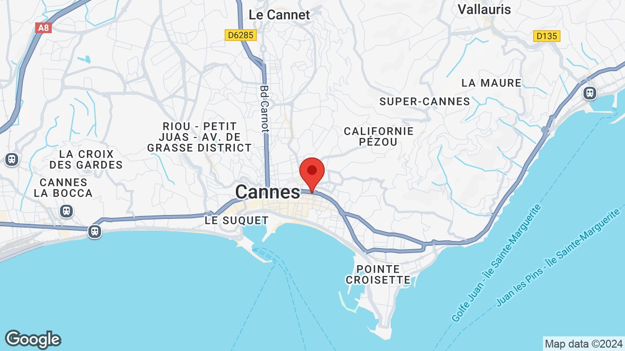 Google map