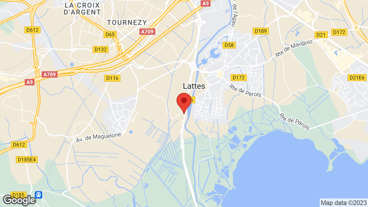 Google map