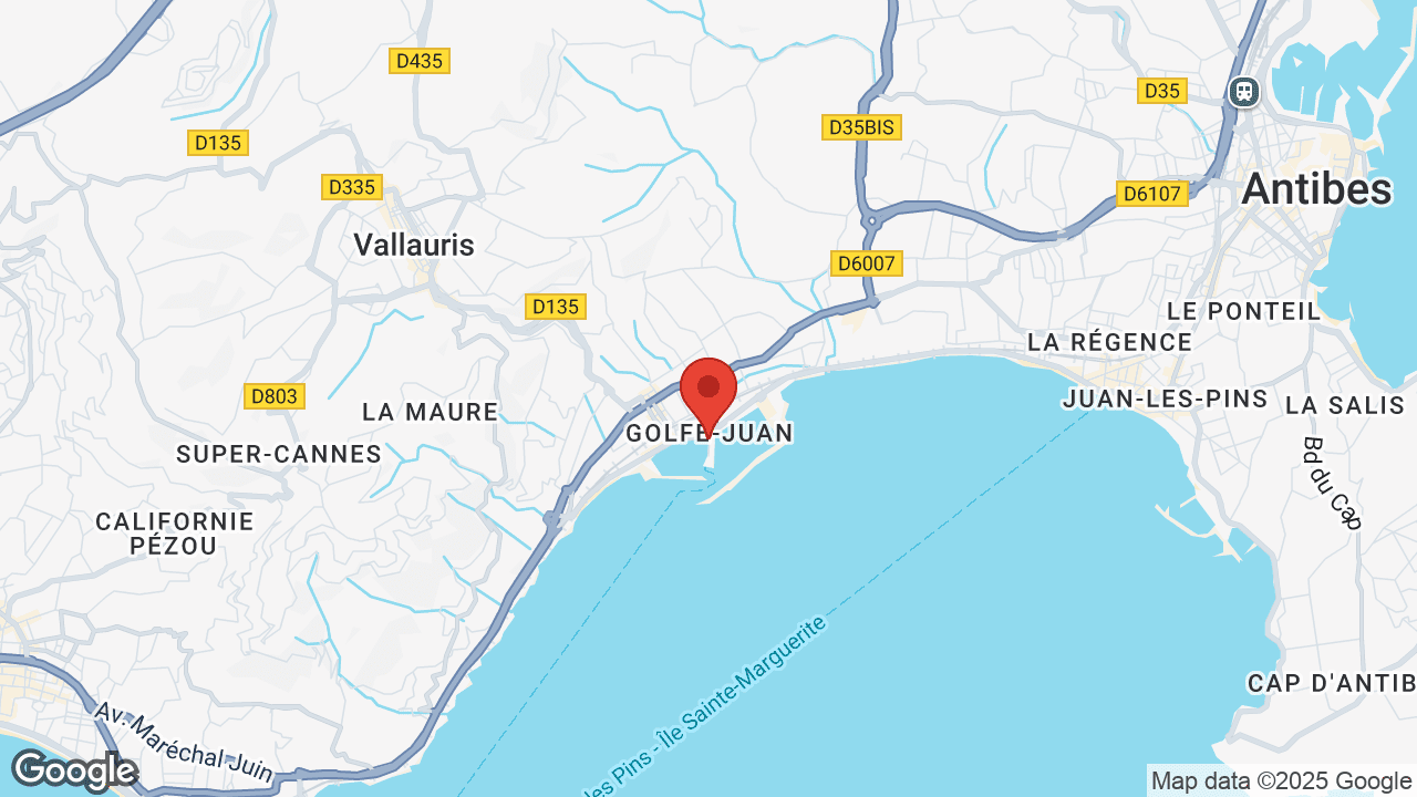 Google map
