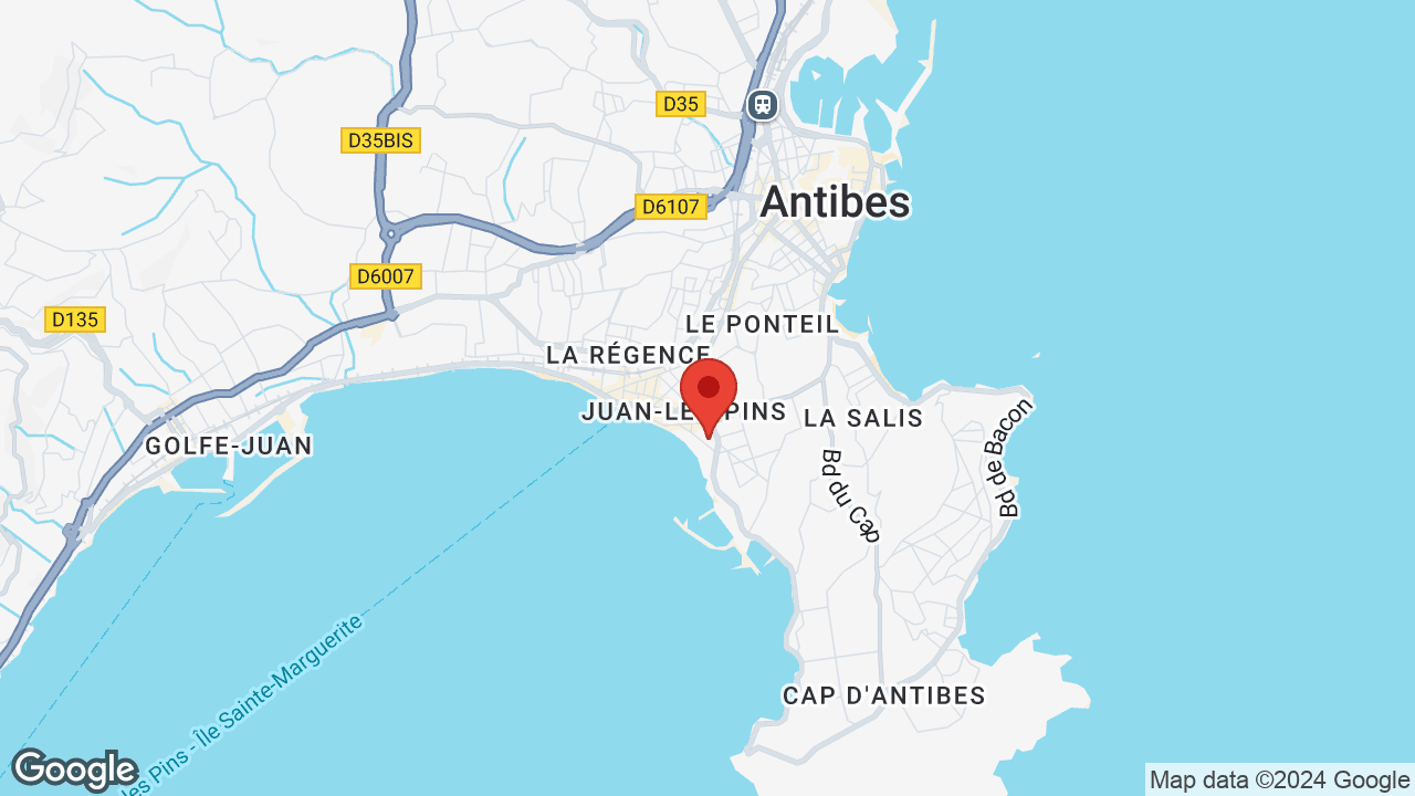 Google map