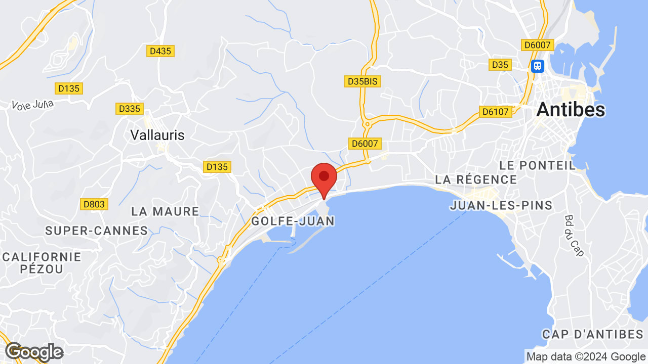 Google map