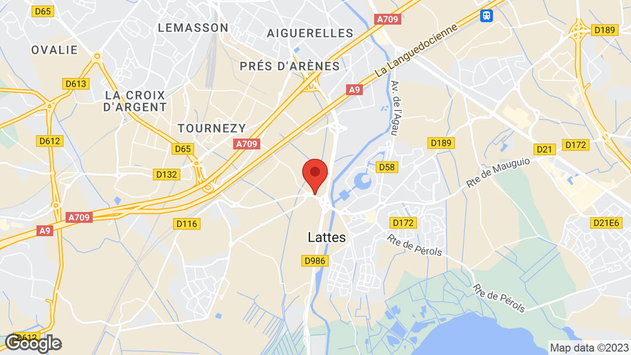 Google map