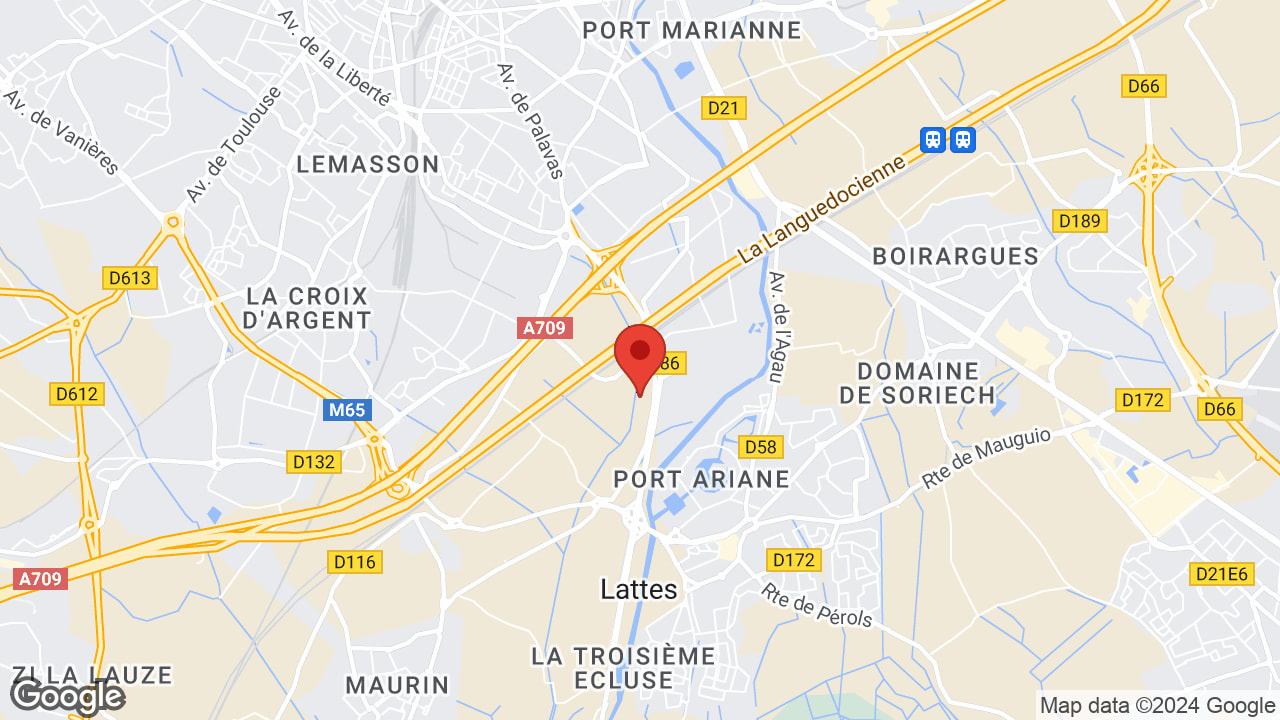 Google map