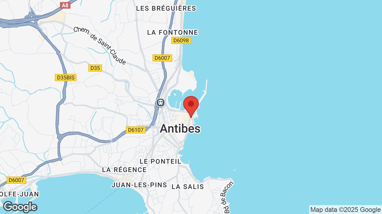 Google map
