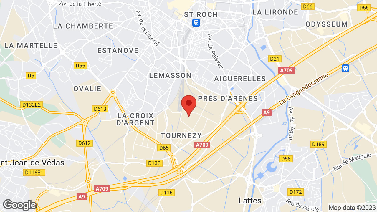 Google map