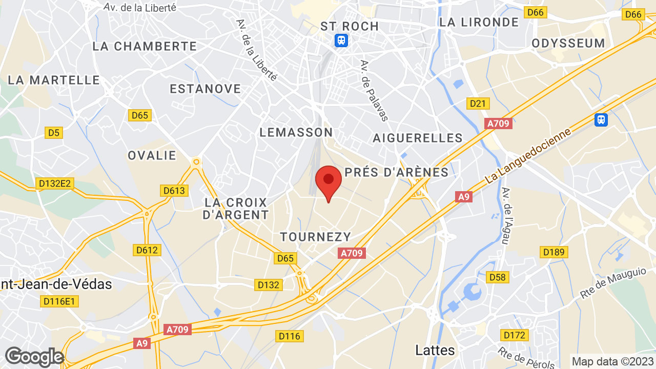 Google map