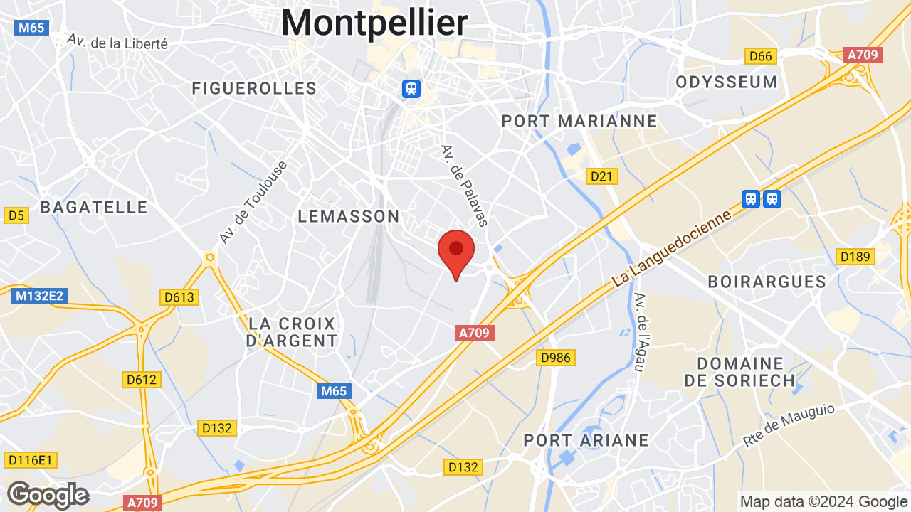 Google map