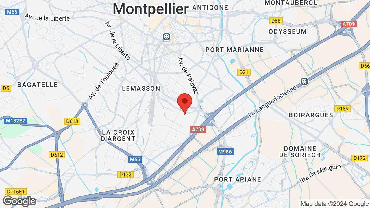 Google map