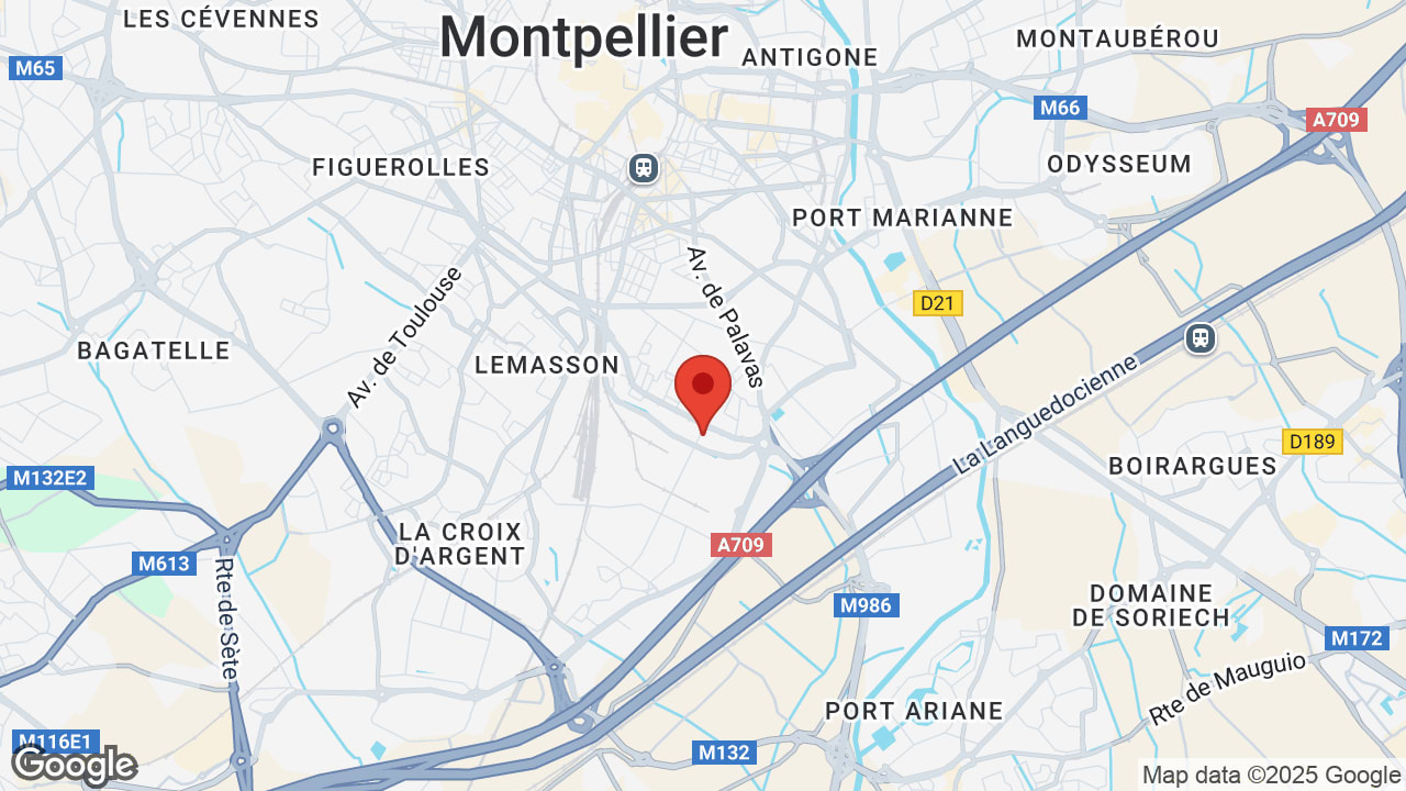 Google map