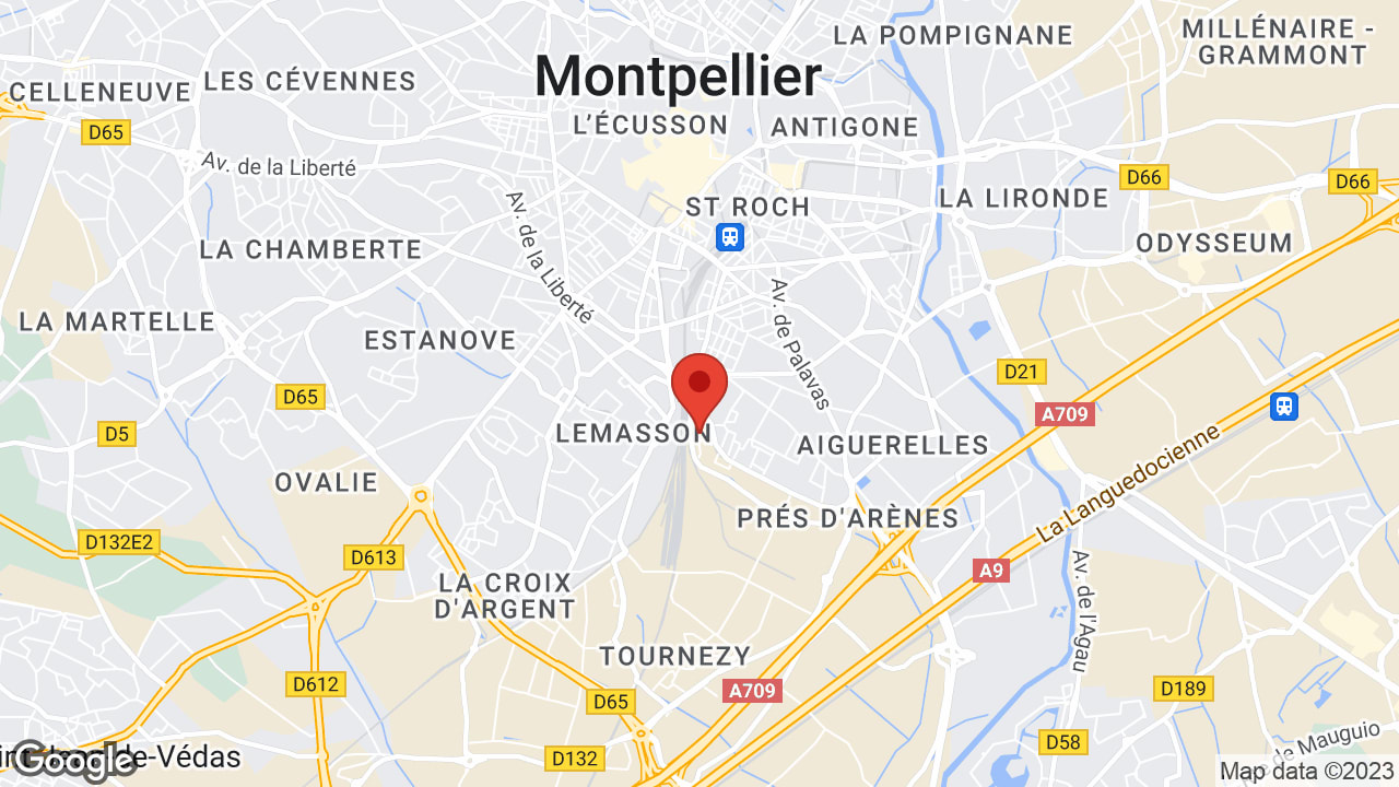 Google map