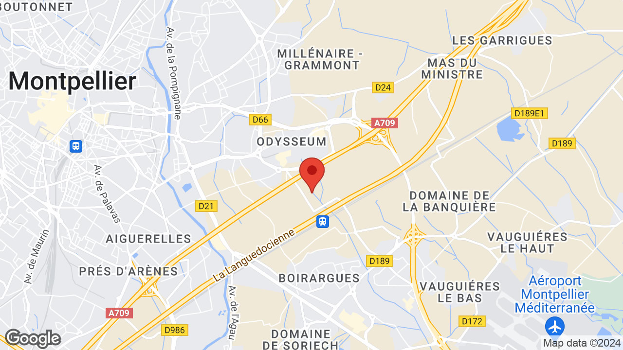 Google map