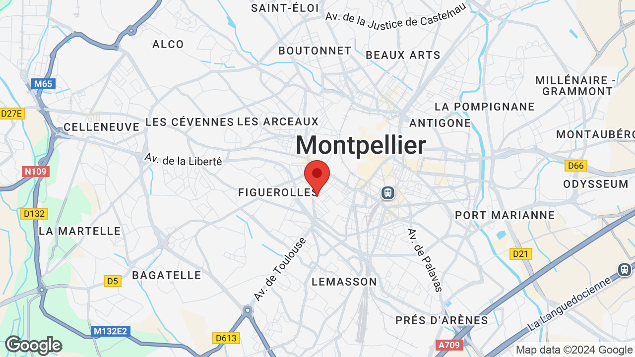 Google map