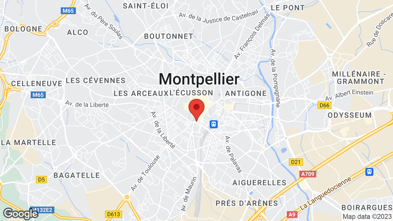 Google map
