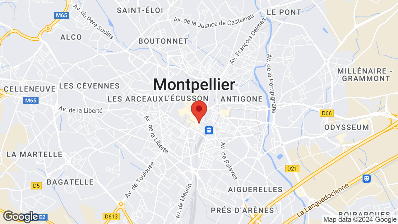 Google map