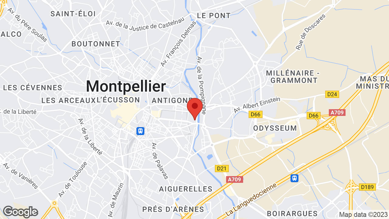 Google map