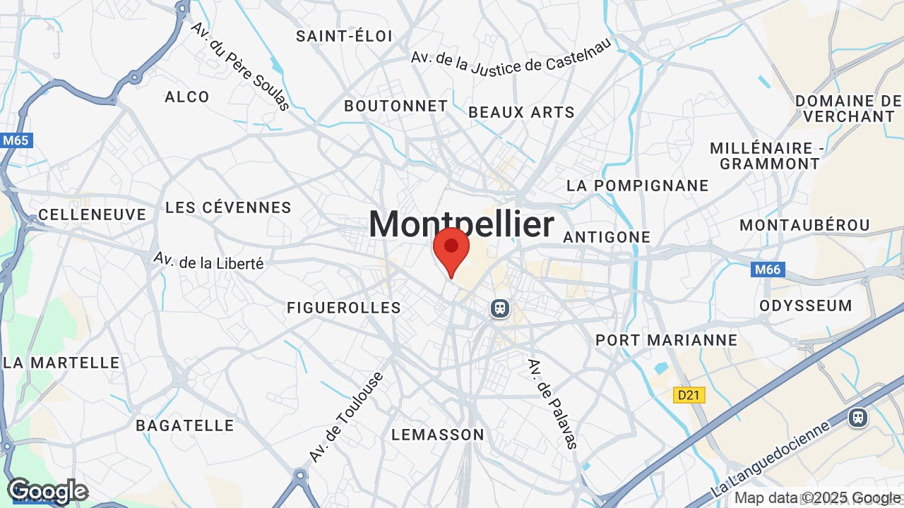 Google map